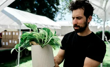 A fost creată planta care purifică aerul