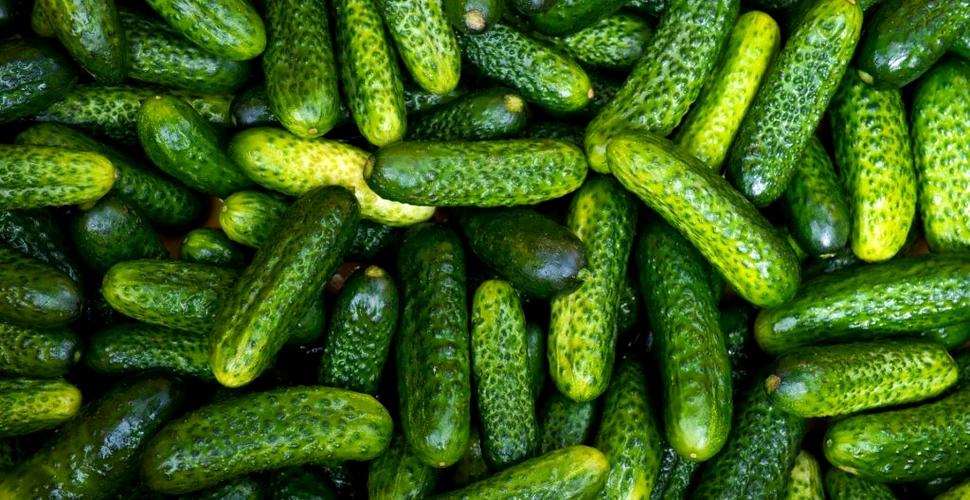 O nouă criză. Creșterea prețurilor la energie lasă serele britanice goale