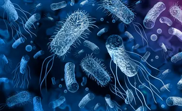 Oamenii de știință au descoperit noi bacterii marine care produc hidrogen în cantități mari