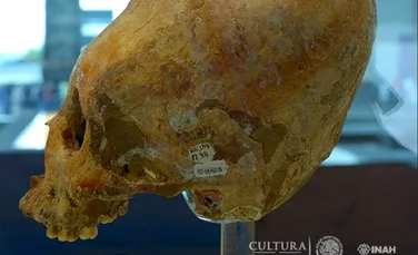 Un schelet mayaş, vechi de 7.000 de ani, a fost descoperit într-o peşteră din Mexic. A aparţinut unei perioade de tranziţie a omului