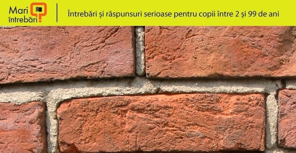 Cum sunt făcute cărămizile?